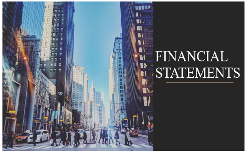 Interim consolidated financial statements for the first 6 months of the fiscal year ended 31 December 2020