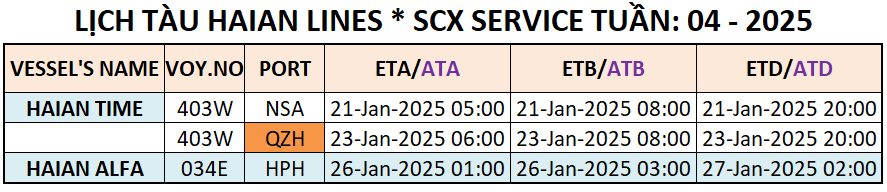 LỊCH TÀU CONTAINER QUỐC TẾ TUẦN: 04 - 2025